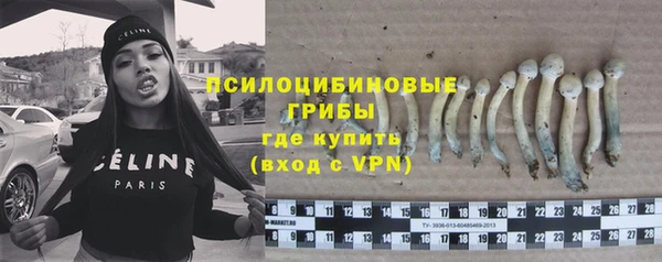 трава Абдулино