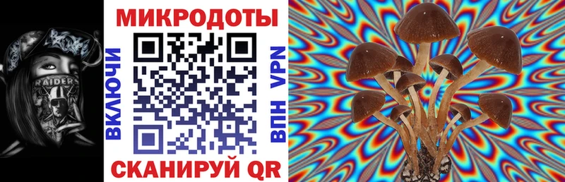 Псилоцибиновые грибы мицелий kraken вход Чебаркуль